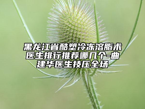 黑龙江省酷塑冷冻溶脂术医生排行推荐哪几个-曲建华医生技压全场