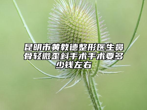 昆明市黄教德整形医生鼻骨轻微歪斜手术手术要多少钱左右