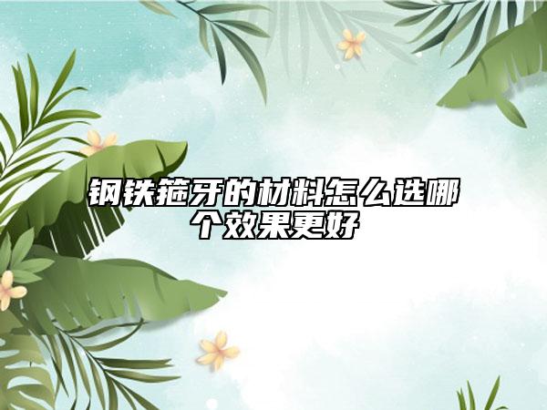 钢铁箍牙的材料怎么选哪个效果更好