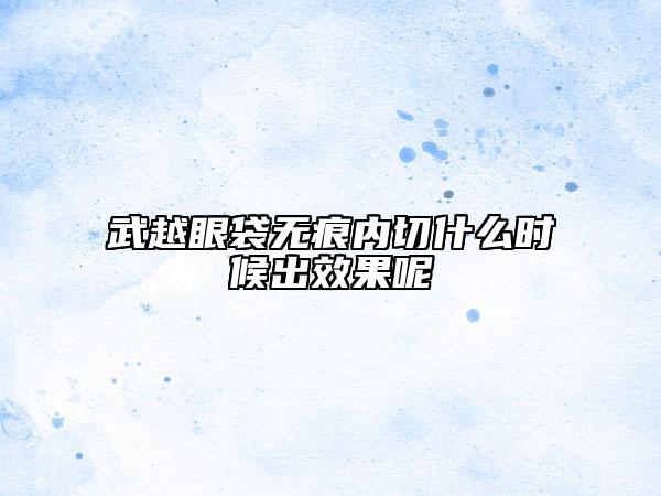 武越眼袋无痕内切什么时候出效果呢