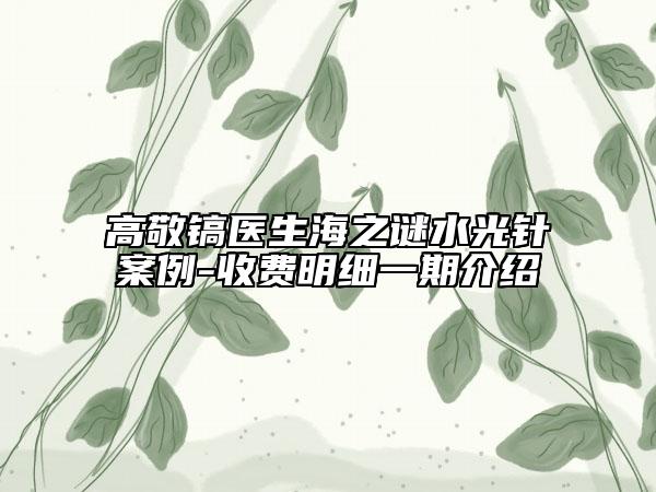 高敬镐医生海之谜水光针案例-收费明细一期介绍