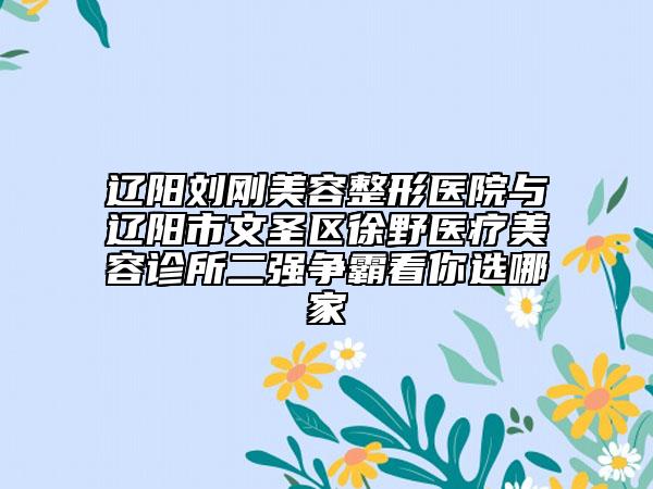 辽阳刘刚美容整形医院与辽阳市文圣区徐野医疗美容诊所二强争霸看你选哪家