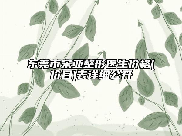 东莞市宋亚整形医生价格(价目)表详细公开