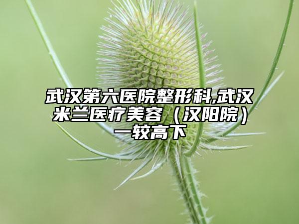 武汉第六医院整形科,武汉米兰医疗美容（汉阳院）一较高下