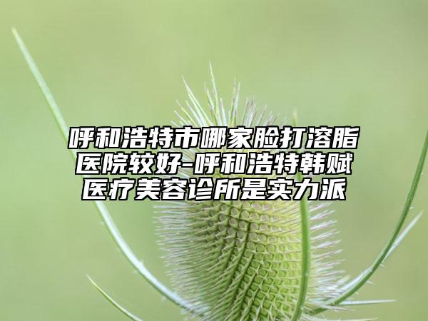 呼和浩特市哪家脸打溶脂医院较好-呼和浩特韩赋医疗美容诊所是实力派