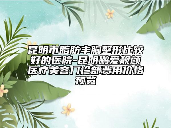 昆明市脂肪丰胸整形比较好的医院-昆明鹏爱靓颜医疗美容门诊部费用价格预览