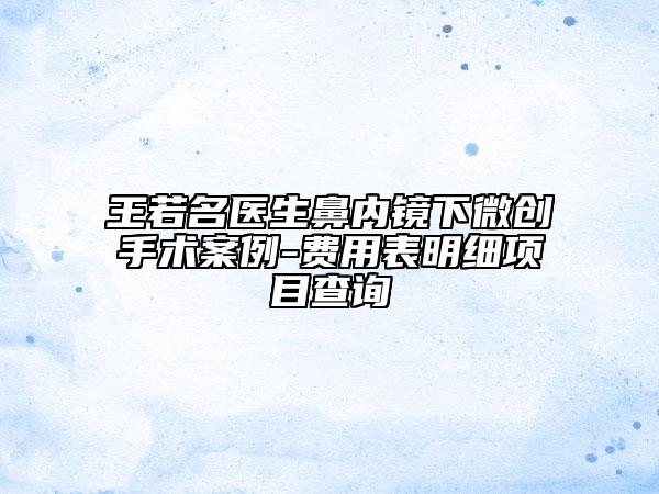 王若名医生鼻内镜下微创手术案例-费用表明细项目查询