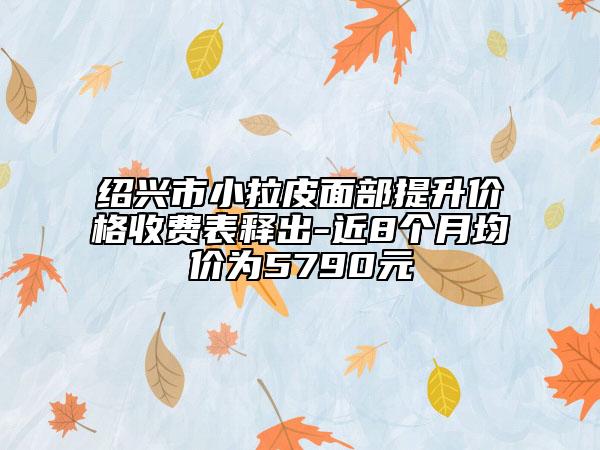 绍兴市小拉皮面部提升价格收费表释出-近8个月均价为5790元