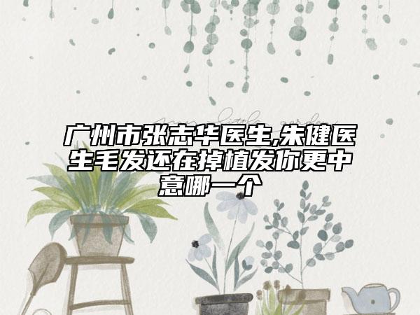 广州市张志华医生,朱健医生毛发还在掉植发你更中意哪一个