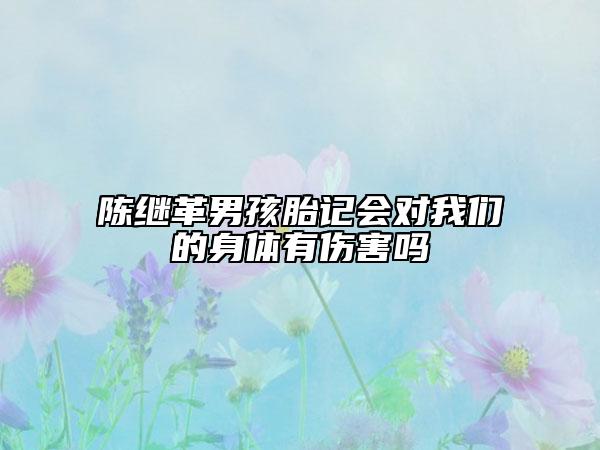 陈继革男孩胎记会对我们的身体有伤害吗
