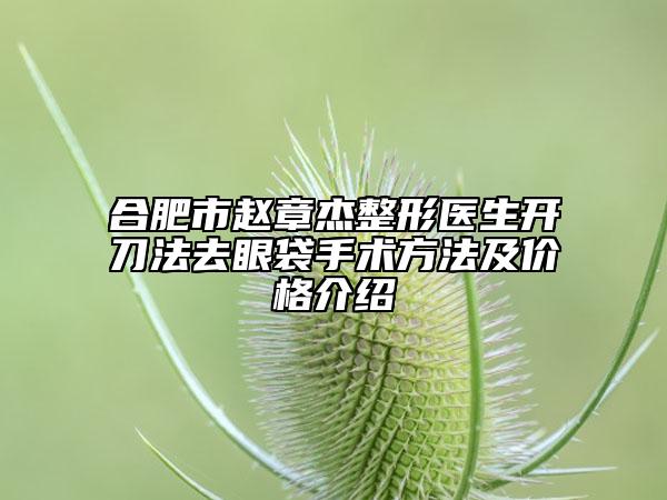 合肥市赵章杰整形医生开刀法去眼袋手术方法及价格介绍