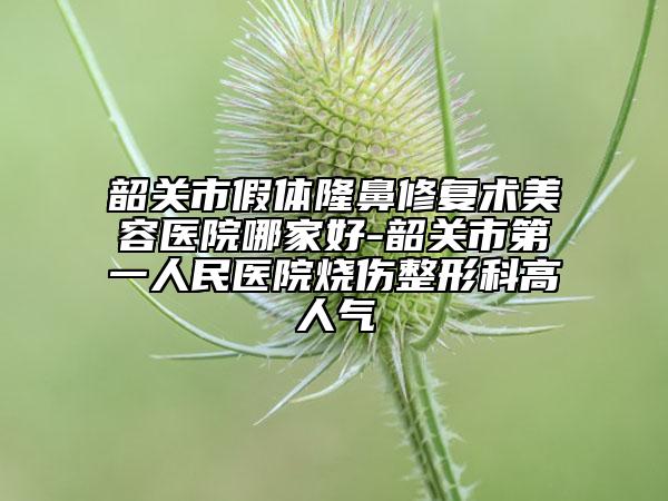 韶关市假体隆鼻修复术美容医院哪家好-韶关市第一人民医院烧伤整形科高人气