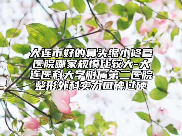 大连市好的鼻头缩小修复医院哪家规模比较大-大连医科大学附属第二医院整形外科实力口碑过硬