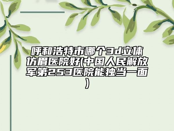 呼和浩特市哪个3d立体仿眉医院好(中国人民解放军第253医院能独当一面)