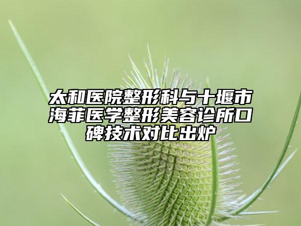 太和医院整形科与十堰市海菲医学整形美容诊所口碑技术对比出炉