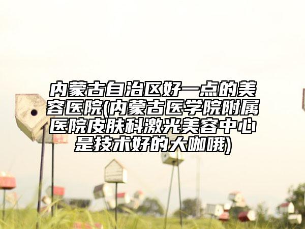 内蒙古自治区好一点的美容医院(内蒙古医学院附属医院皮肤科激光美容中心是技术好的大咖哦)