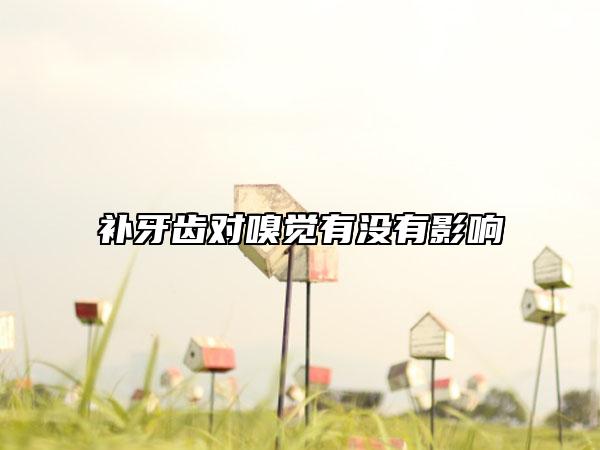 补牙齿对嗅觉有没有影响