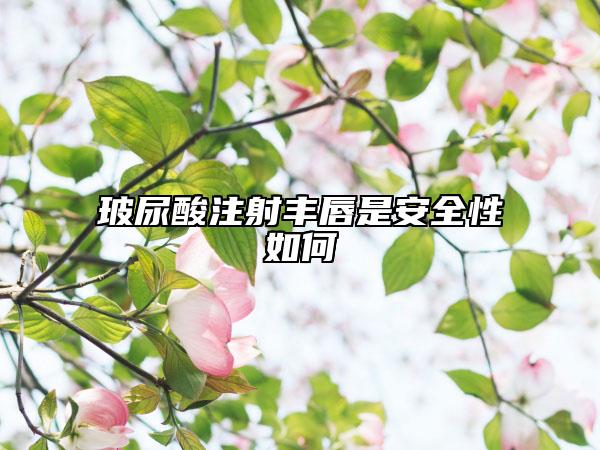 玻尿酸注射丰唇是安全性如何
