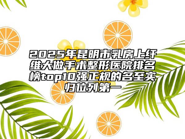 2025年昆明市乳房上纤维大做手术整形医院排名榜top10强正规的名至实归位列第一