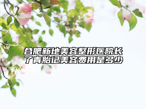 合肥新地美容整形医院长了青胎记美容费用是多少