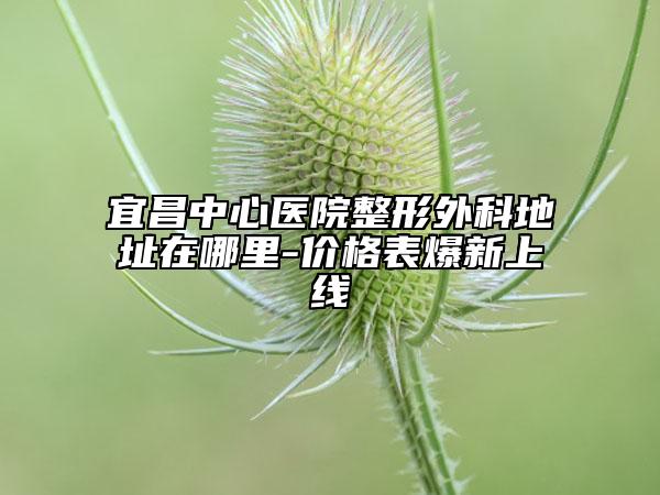 宜昌中心医院整形外科地址在哪里-价格表爆新上线