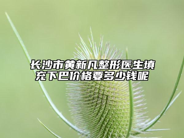 长沙市黄新凡整形医生填充下巴价格要多少钱呢