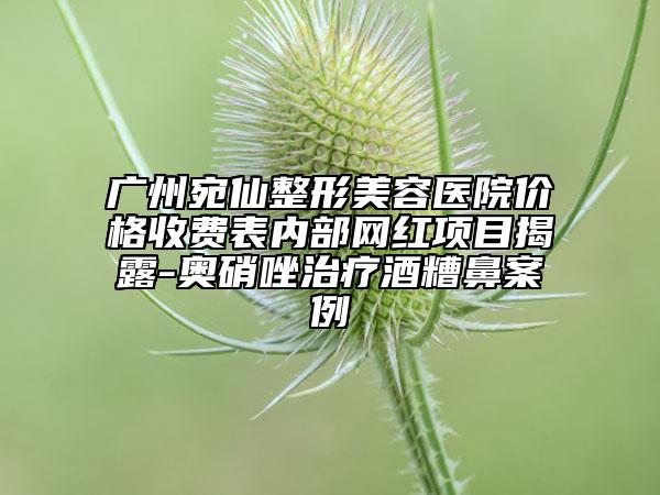 广州宛仙整形美容医院价格收费表内部网红项目揭露-奥硝唑治疗酒糟鼻案例