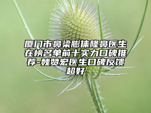厦门市鼻梁膨体隆鼻医生在榜名单前十实力口碑推荐-魏赞宏医生口碑反馈超好