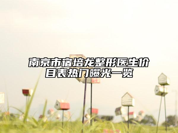 南京市宿培龙整形医生价目表热门曝光一览