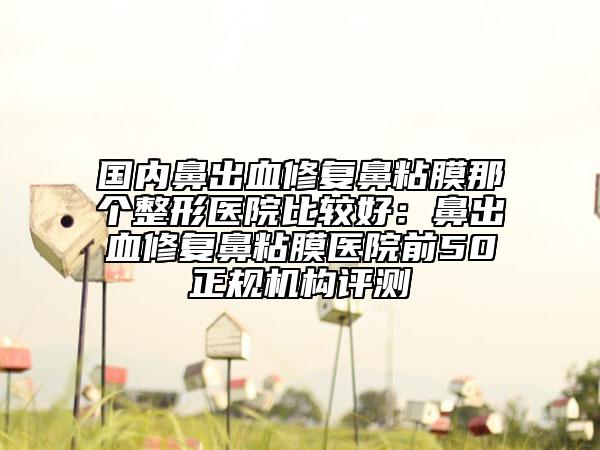 国内鼻出血修复鼻粘膜那个整形医院比较好：鼻出血修复鼻粘膜医院前50正规机构评测