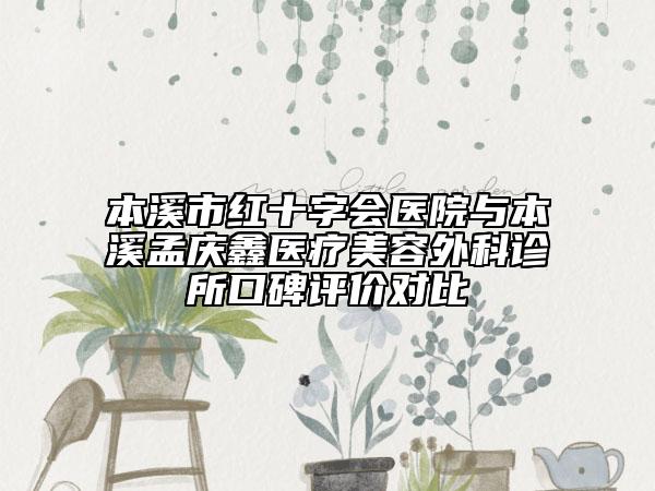 本溪市红十字会医院与本溪孟庆鑫医疗美容外科诊所口碑评价对比