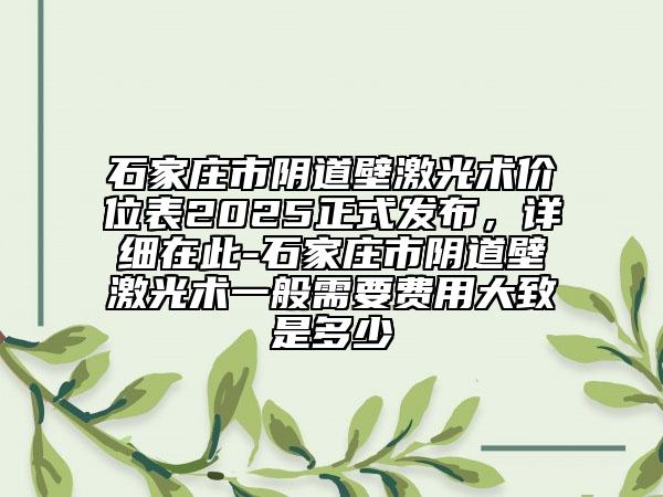石家庄市阴道壁激光术价位表2025正式发布，详细在此-石家庄市阴道壁激光术一般需要费用大致是多少