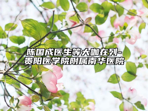 陈国成医生等大咖在列-贵阳医学院附属南华医院
