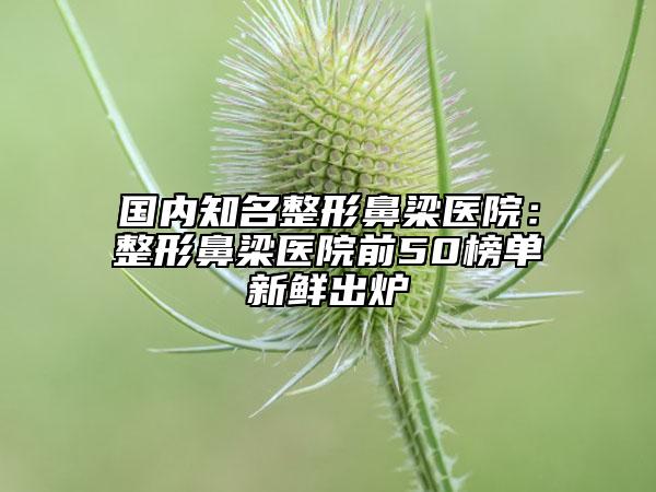 国内知名整形鼻梁医院：整形鼻梁医院前50榜单新鲜出炉