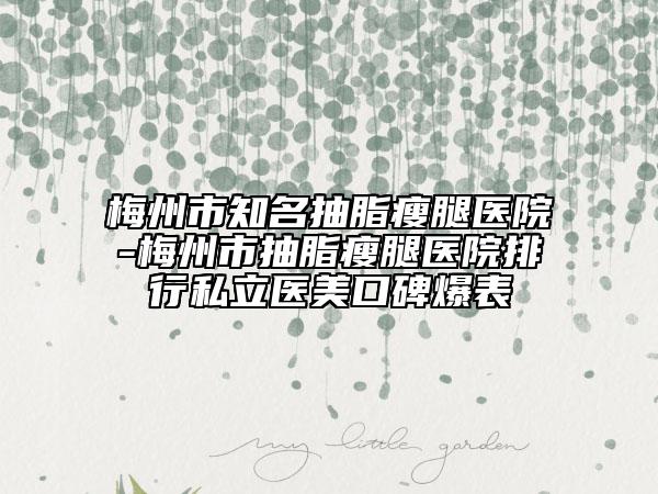 梅州市知名抽脂瘦腿医院-梅州市抽脂瘦腿医院排行私立医美口碑爆表