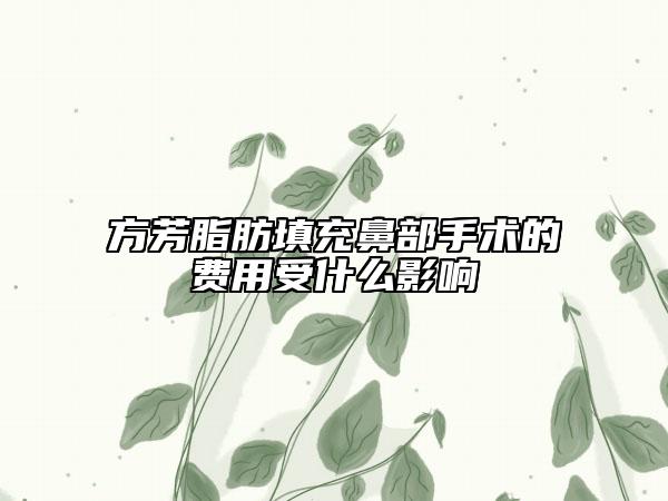 方芳脂肪填充鼻部手术的费用受什么影响