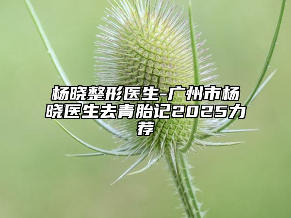 杨晓整形医生-广州市杨晓医生去青胎记2025力荐
