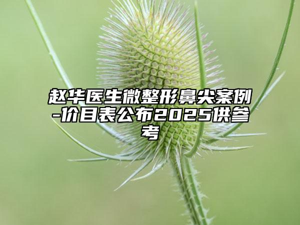 赵华医生微整形鼻尖案例-价目表公布2025供参考