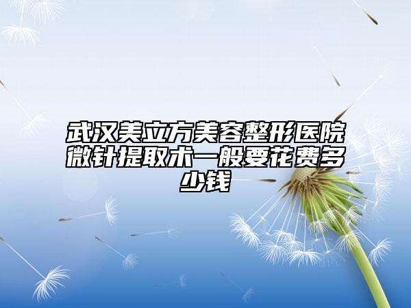 武汉美立方美容整形医院微针提取术一般要花费多少钱