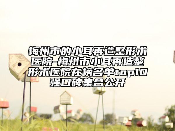 梅州市的小耳再造整形术医院-梅州市小耳再造整形术医院在榜名单top10强口碑集合公开