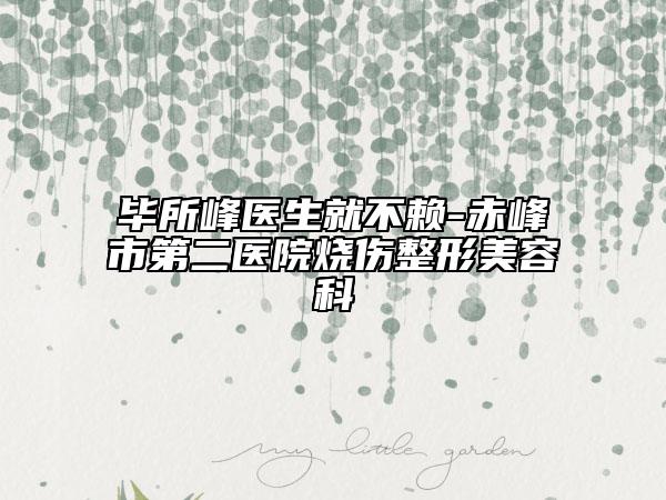 毕所峰医生就不赖-赤峰市第二医院烧伤整形美容科