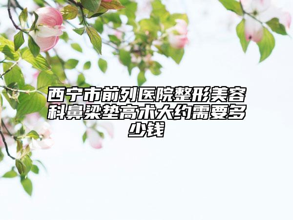 西宁市前列医院整形美容科鼻梁垫高术大约需要多少钱