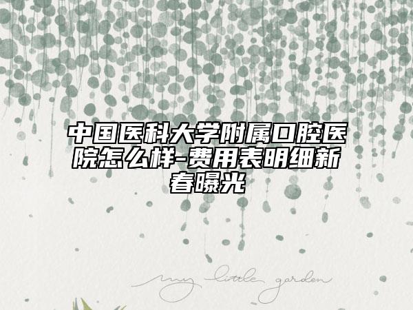 中国医科大学附属口腔医院怎么样-费用表明细新春曝光