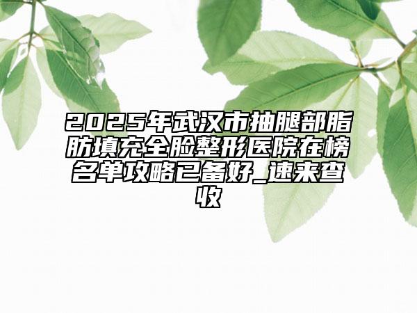 2025年武汉市抽腿部脂肪填充全脸整形医院在榜名单攻略已备好_速来查收