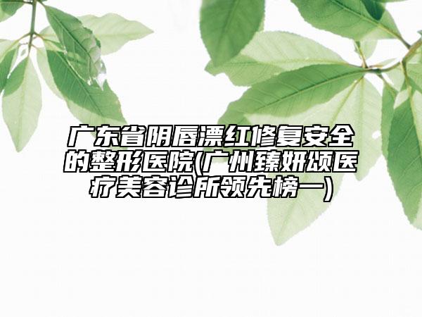 广东省阴唇漂红修复安全的整形医院(广州臻妍颂医疗美容诊所领先榜一)