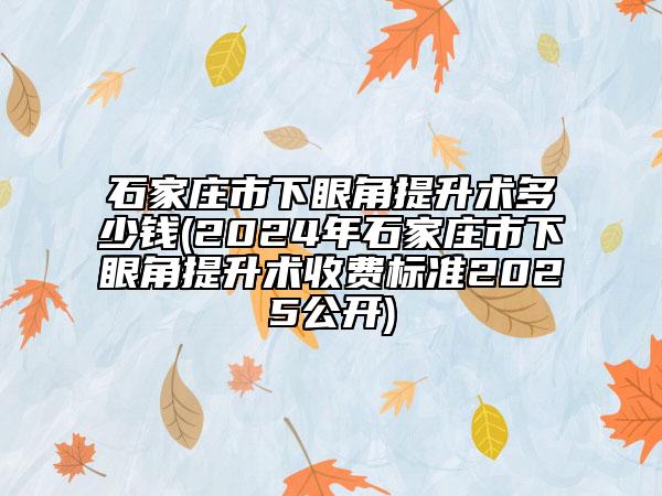 石家庄市下眼角提升术多少钱(2024年石家庄市下眼角提升术收费标准2025公开)