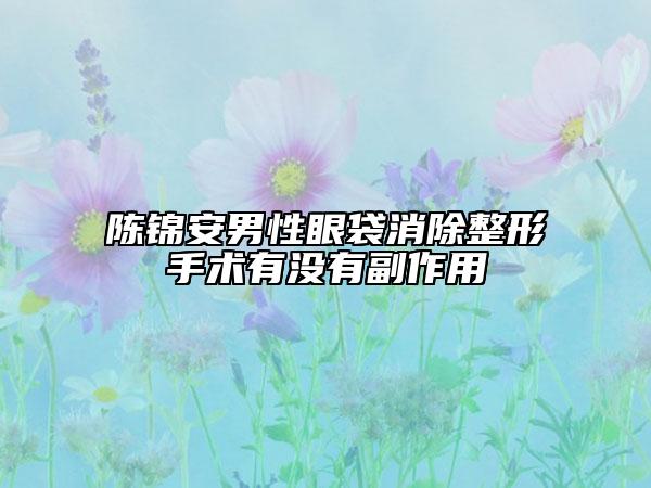 陈锦安男性眼袋消除整形手术有没有副作用