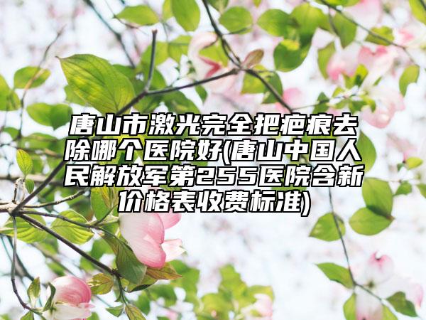 唐山市激光完全把疤痕去除哪个医院好(唐山中国人民解放军第255医院含新价格表收费标准)