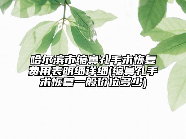 哈尔滨市缩鼻孔手术恢复费用表明细详细(缩鼻孔手术恢复一般价位多少)
