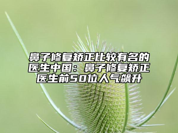 鼻子修复矫正比较有名的医生中国：鼻子修复矫正医生前50位人气飙升